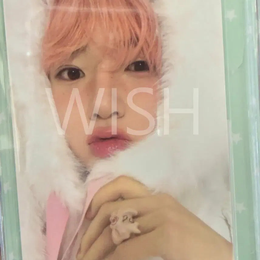 [BUNJANG] NCT WISH Sicheng Trade Card Version B Sakuya / 엔시티 위시 시그 트레카 B버전_사쿠야
