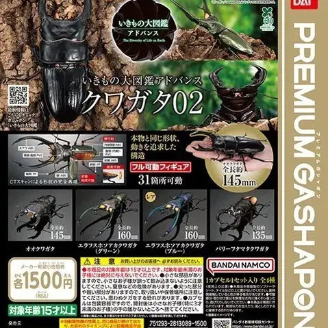 [BUNJANG] Bandai Bio Great Encyclopedia Stag Beetle 2 Ferior Stag Beetle Capsule Toy / 생물대도감 사슴벌레2 페리큰턱사슴벌레 캡슐 미개봉