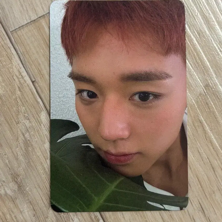 [BUNJANG] Park Ji Hoon Reflect Photocard / 박지훈 리플렉트 포카