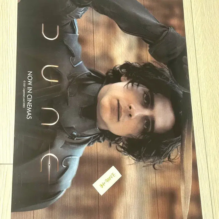 [BUNJANG] Dune Part One Timothy Chalamet Exclusive Artwork PET Poster (A3) / [초희귀 한정판]영화 듄1 아트웍 포스터(A3),티모시샬라메 아트웍