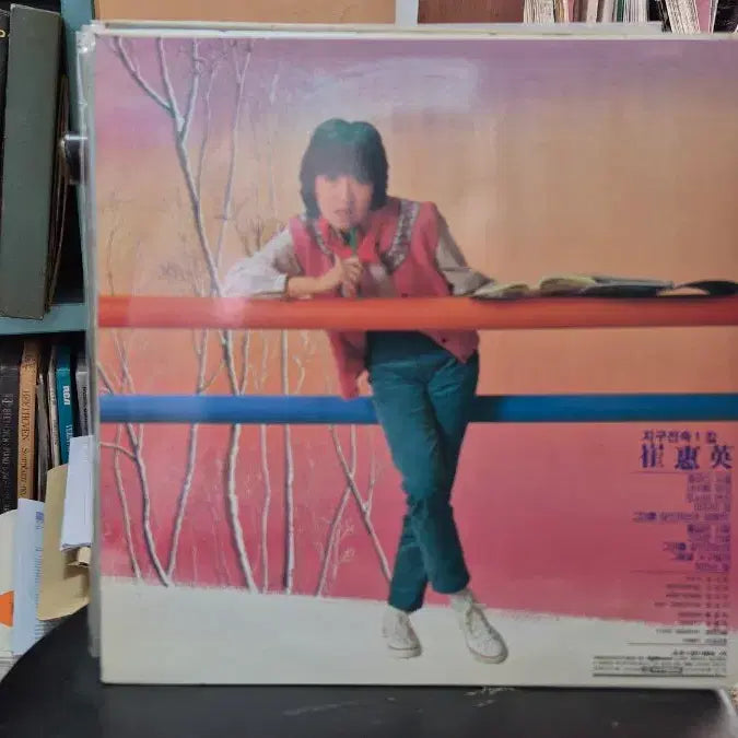 [BUNJANG] Choi Hye-young LP Record / 최혜영 LP