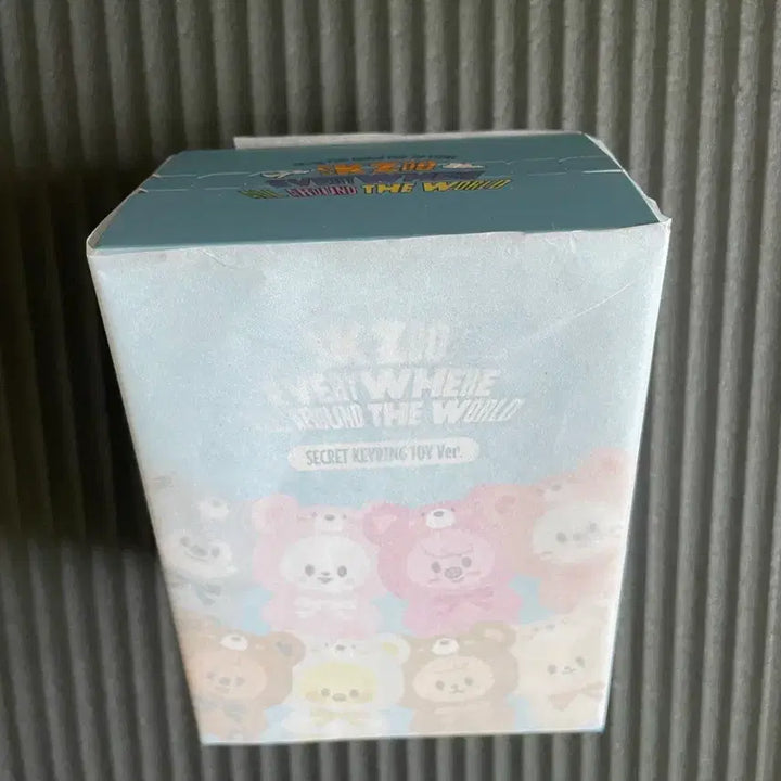 [BUNJANG] Stray Kids SKZOO Secret Keyring (Sealed) / 스키즈 스키주 슼부부 시크릿 키링 미개봉