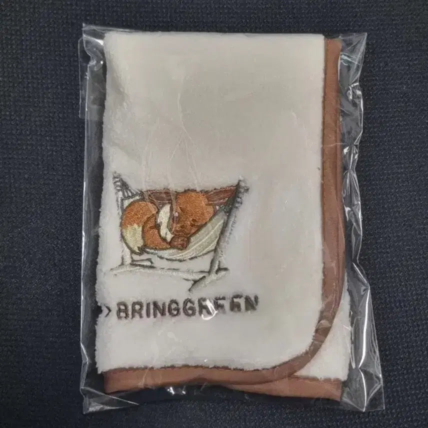 [BUNJANG] Pokemon Eevee Hand Towel (Sealed) / 미개봉) 포켓몬스터 이브이 핸드 타월