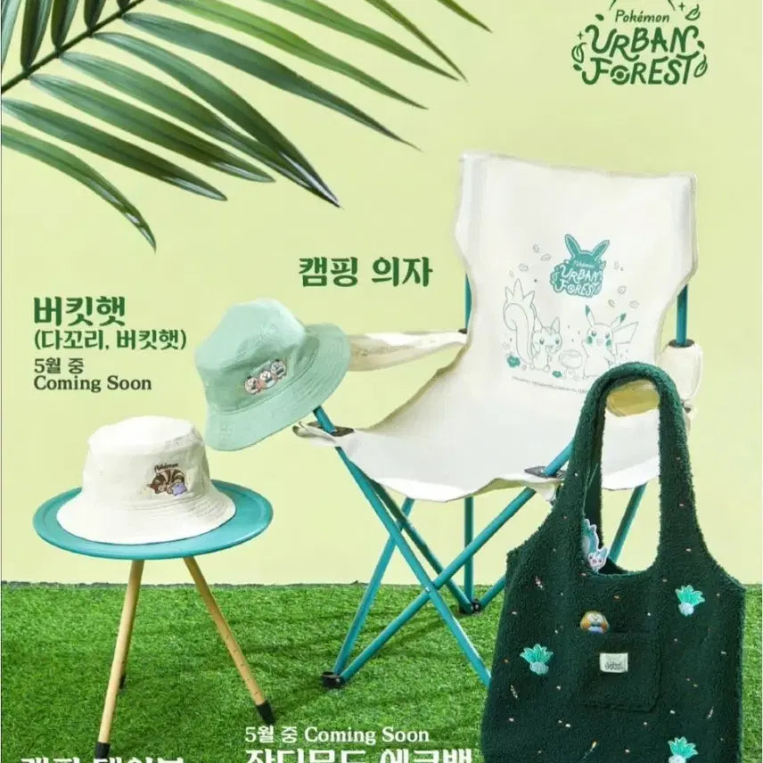 [BUNJANG] Pokemon 30th Anniversary Ditto, Eevee, and Goods Proxy Purchase / 30주년 포켓몬 메타몽, 이브이, 잔여 굿즈 대리구매 진행합니다