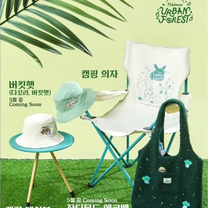 [BUNJANG] Pokemon 30th Anniversary Ditto, Eevee, and Goods Proxy Purchase / 30주년 포켓몬 메타몽, 이브이, 잔여 굿즈 대리구매 진행합니다