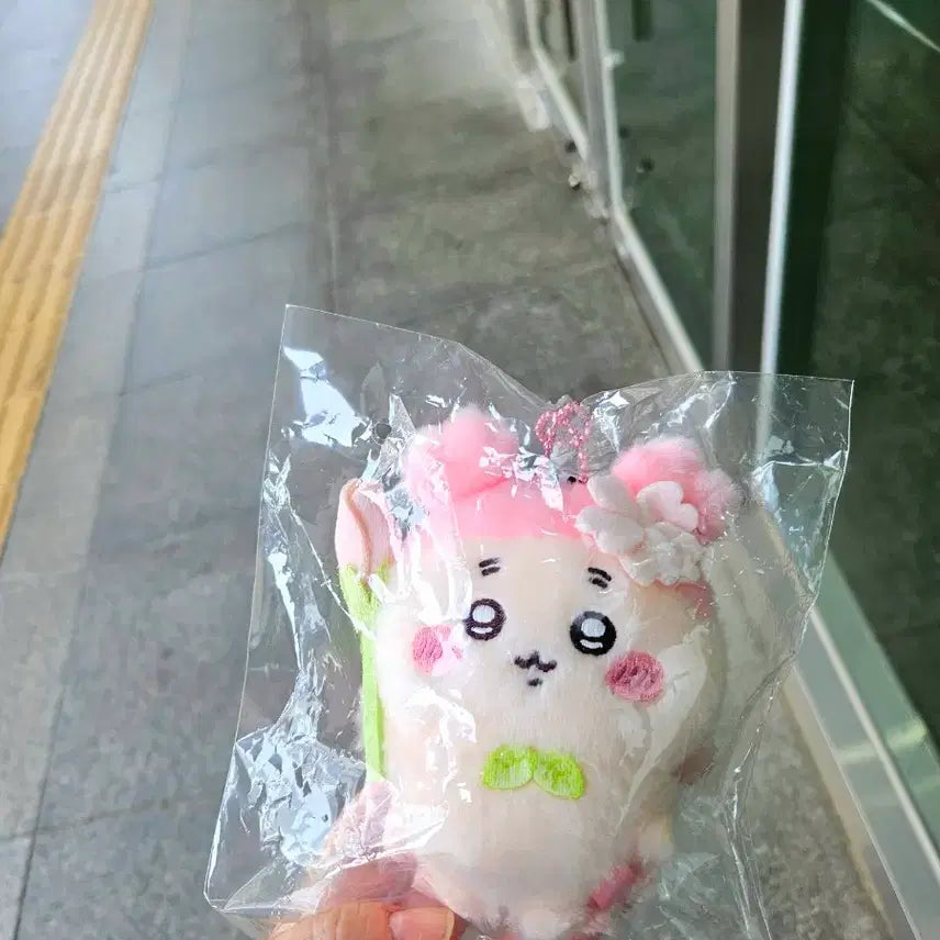 [SOLD OUT] (미개봉)개체 예쁜 벚꽃 카니 팝니당