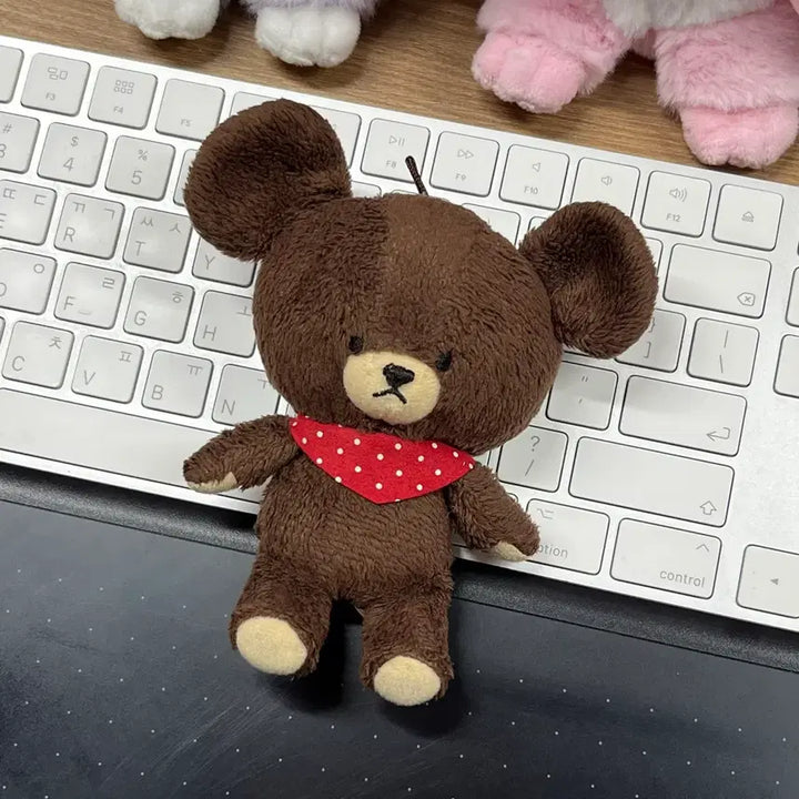[BUNJANG] Sekiguchi Bears&