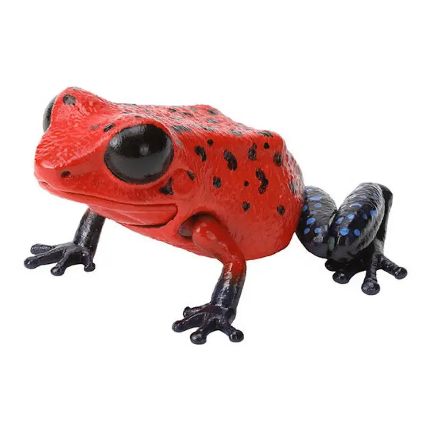 [BUNJANG] Bandai Creatures of the Deep Poison Dart Frog Gacha Toy Sealed / 반다이 생물대도감 렙티 독화살개구리 가챠 미개봉품판매합니다 .