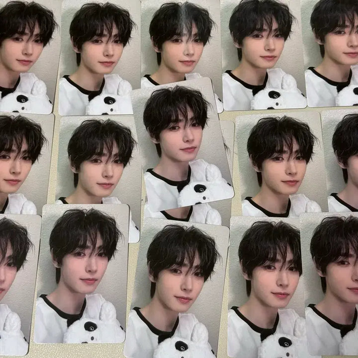 [BUNJANG] ENHYPEN Sunghoon IzWe Panda Photocard / 엔하이픈 성훈 이즈위 판다 포카 판매