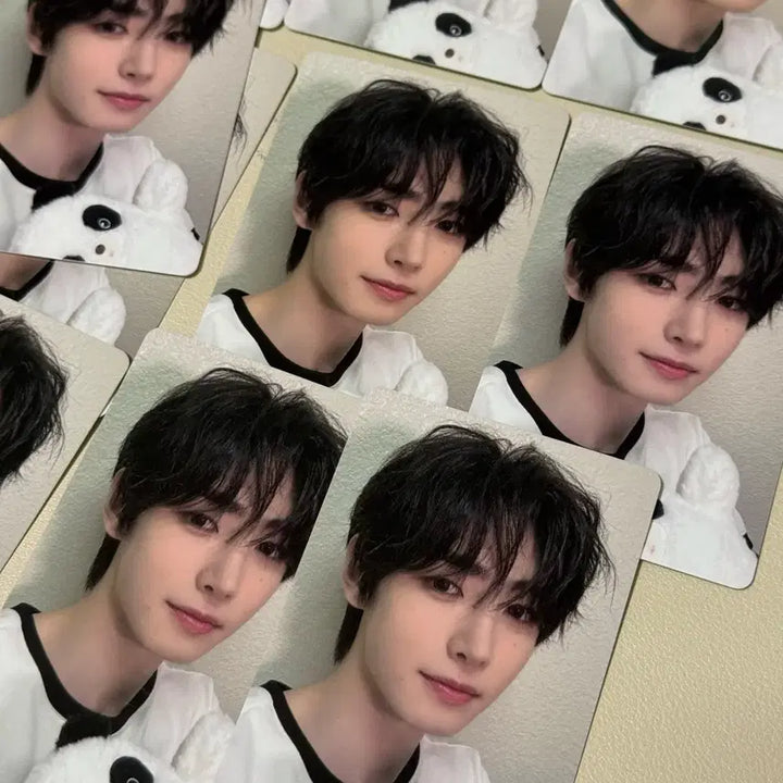 [BUNJANG] ENHYPEN Sunghoon IzWe Panda Photocard / 엔하이픈 성훈 이즈위 판다 포카 판매