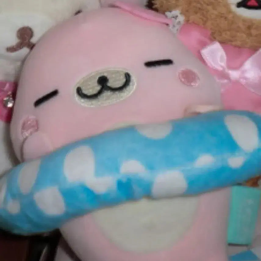[BUNJANG] San-X Mamegoma Seal Plush / 튜브 마메고마 인형