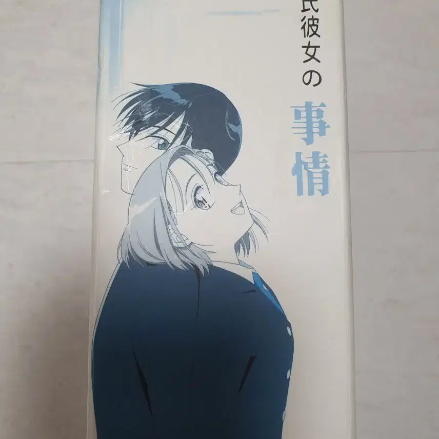 [BUNJANG] His and Her Circumstances DVD Box Set / 비밀일기(그 남자 그 여자의 사정) dvd