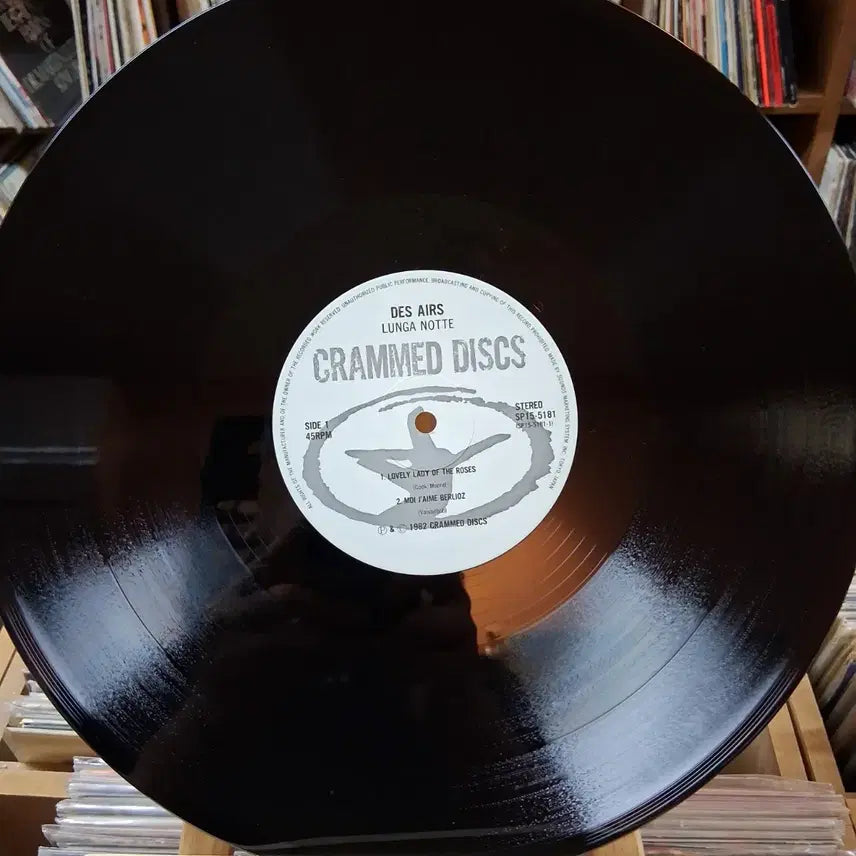 [BUNJANG] Hungry Molly Desire LP / 프랑스 밴드 헝가모드 디자이어 LP