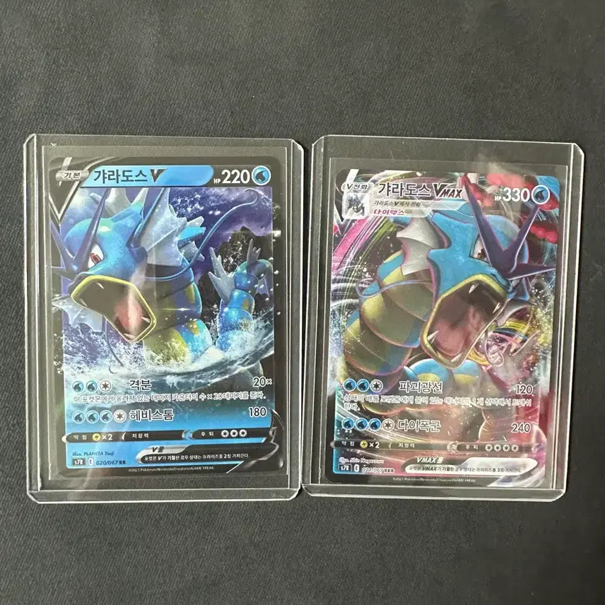 [BUNJANG] Pokemon Card Gyarados V / VMAX Bundle Set / 포켓몬카드 갸라도스V / VMAX 일괄
