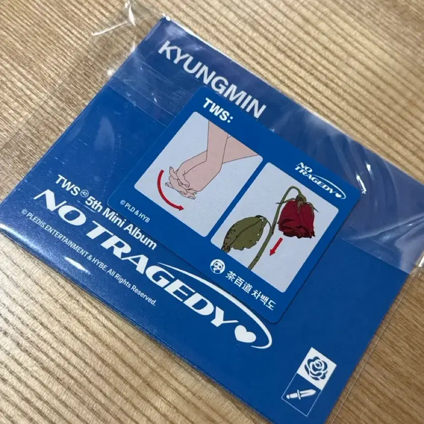 [BUNJANG] TWS Cha Hakyeon Postcard / TWS 차백도 엽서