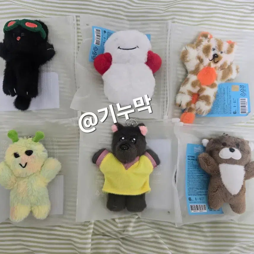 [BUNJANG] BOYNEXTDOOR 1st Generation Bundle Set (HOW? ver.) / 1기 쁘넥도 일괄 양도 (HOW? ver)