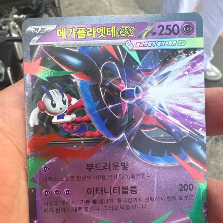 [BUNJANG] Mega-Phallete EX Card / 메가플라엣테ex