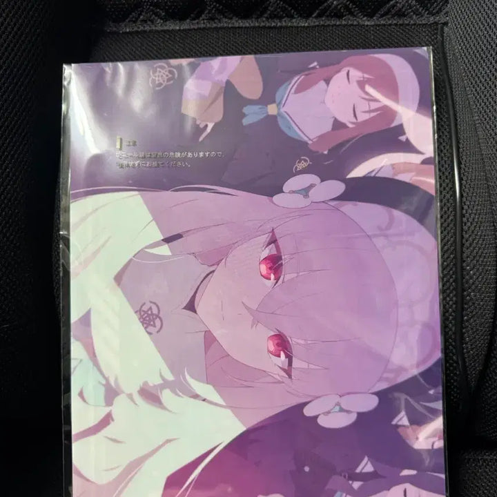 [BUNJANG] Blue Archive Kuji Sakurako Double-Sided Clear File / 블루아카이브 쿠지 J상 사쿠라코 양면 클리어파일