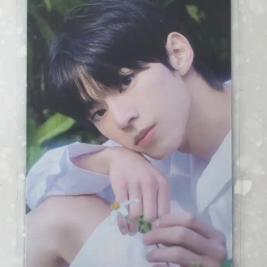 [BUNJANG] TWS Dohoon Nice to See You Again Tower Records Photocard / TWS 투어스 Nice to see you again 타워레코드 도훈