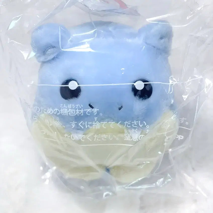 [BUNJANG] Pokemon Center "I Choose You!" Torkoal Plush / 포켓몬센터 너로정했다 데굴레오 인형