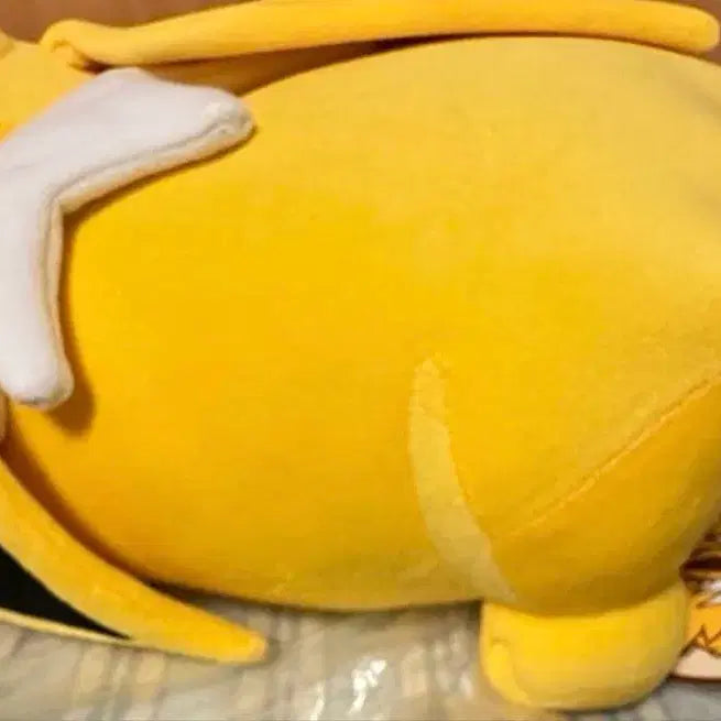 [BUNJANG] Pokemon Center Sleeping Jolteon Plush / !현물! 포켓몬센터 포켓몬스터 스야스야 쥬피썬더 인형