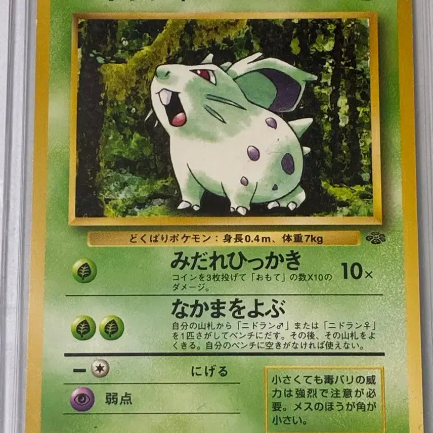 [BUNJANG] Pokemon Card Nidran (Female) 1996 Japanese First Edition Rare Card / 포켓몬카드 1996 일판 초판 니드런(암) 희귀카드