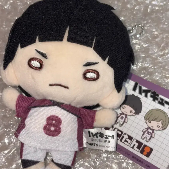 [BUNJANG] Haikyu!! Goshiki Tsutomu Nitotan Plush / 하이큐 고시키 니토탄