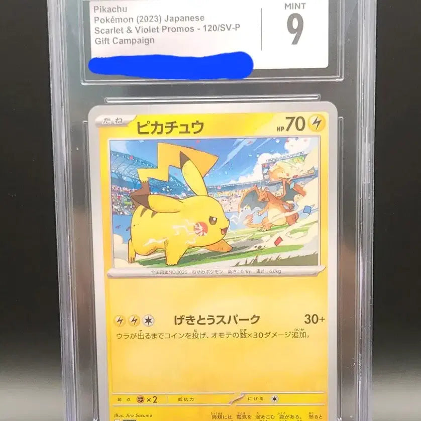 [BUNJANG] Pikachu Gym Battle Promo 120/SV-P Graded Card CGC 9 / [일판] 피카츄 짐배틀 프로모 CGC 9 120/SV-P 포켓몬카드