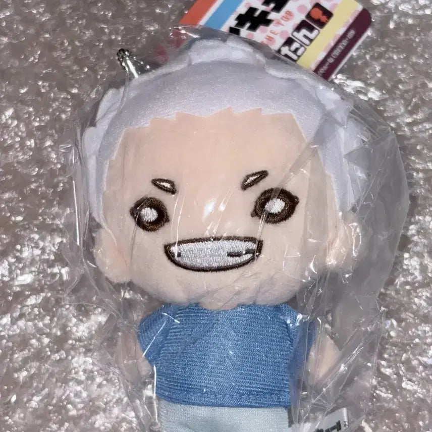 [BUNJANG] Haikyuu!! Hoshiumi Nendoroid Swimmers Plush / 하이큐 호시우미 니토탄