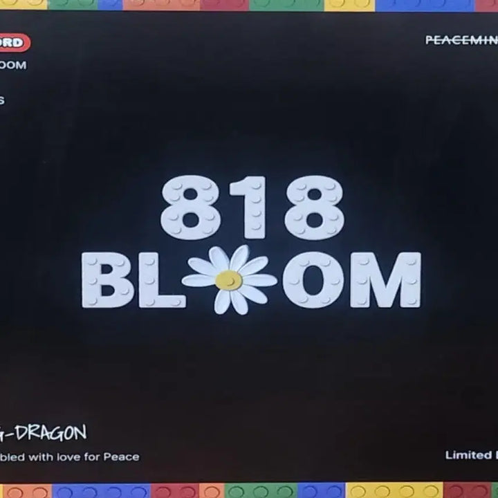 [BUNJANG] G-Dragon x Oxford x PEACEMINUSONE 818-Piece Building Blocks Set / 옥스포드 GD 콜라보 818 피스마이너스원