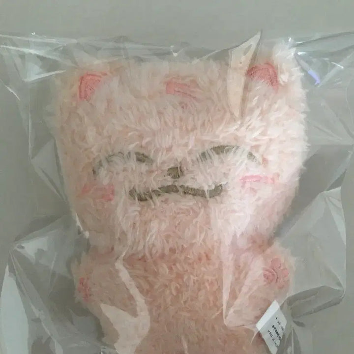 [BUNJANG] NCT Dream Cheonlo 10cm Momotouler Plush Doll / 엔시티 드림 천러 10cm 인형 핑크 모모토우러 양도 nct dream