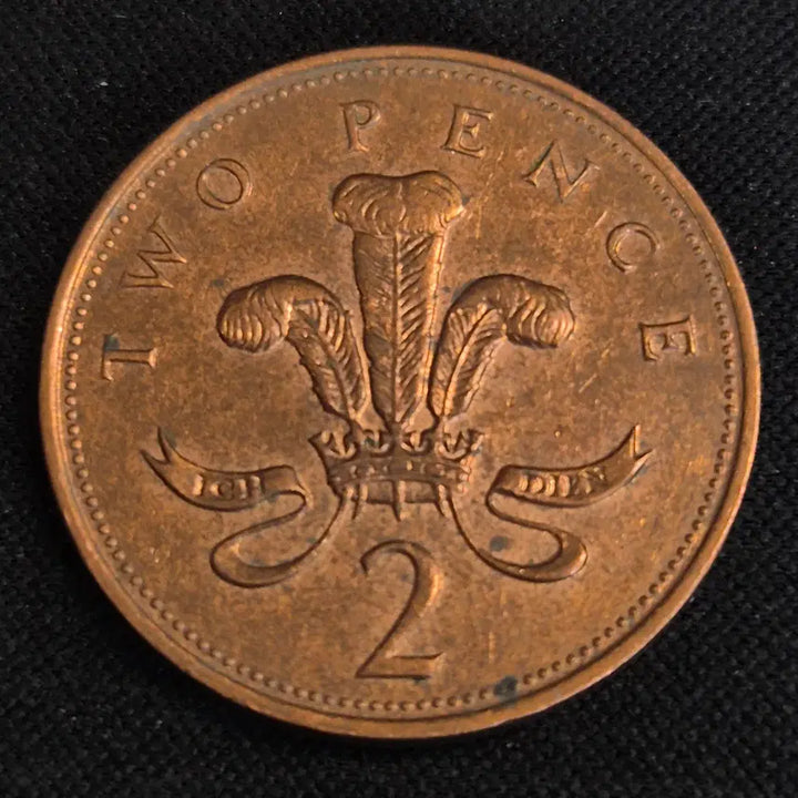[BUNJANG] 1995 United Kingdom 2 Pence Coin / 1995년 영국 2펜스 동전 [EP. 2876]