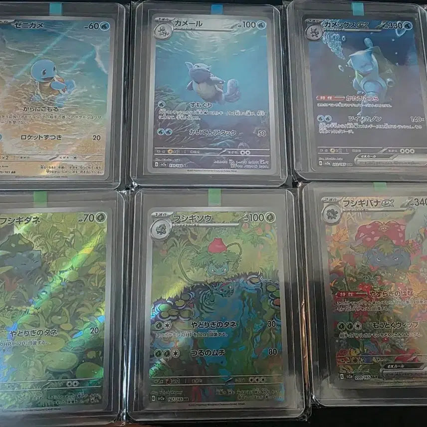 [BUNJANG] Pokemon Card 151 Series Bundle Set / 포켓몬카드 151 시리즈 6종(꼬부기3종,이상해씨3종) 일괄판매 합니다.