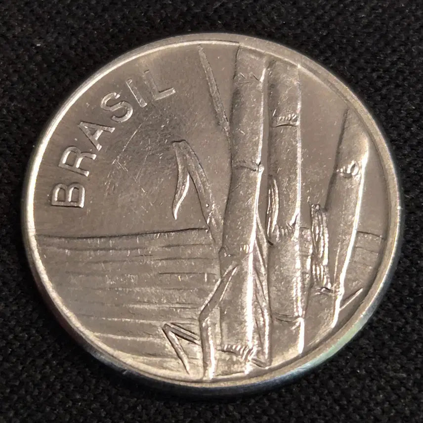[BUNJANG] 1979 Brazil 1 Cruzeiro Coin / 1979년 브라질 1크루제이루 동전 [EP. 2879]
