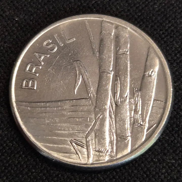 [BUNJANG] 1979 Brazil 1 Cruzeiro Coin / 1979년 브라질 1크루제이루 동전 [EP. 2879]