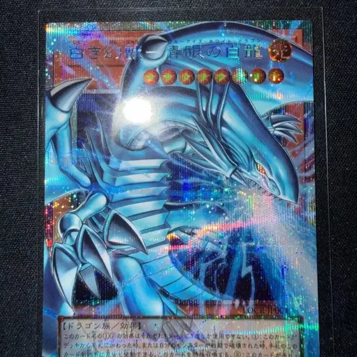 [BUNJANG] Yu-Gi-Oh! Blue-Eyes White Dragon LOCR-JP001 Over Frame Single Card / (주말까지만) 하얀환상수 푸른눈의백룡 LOCR-JP001 오버프레임