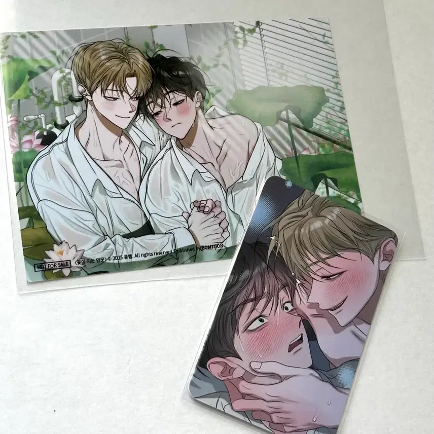 [BUNJANG] Kkotjineunyeonmul (Flower Falling Pond) Photocards Bundle Set / 꽃이지는연못 꽃지연 특전 인화사진 포토카드 포카 일괄