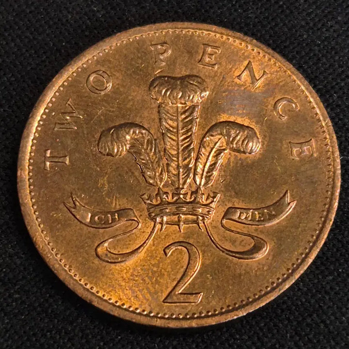 [BUNJANG] 1985 United Kingdom 2 Pence Coin / 1985년 영국 2펜스 동전 [EP. 2884]