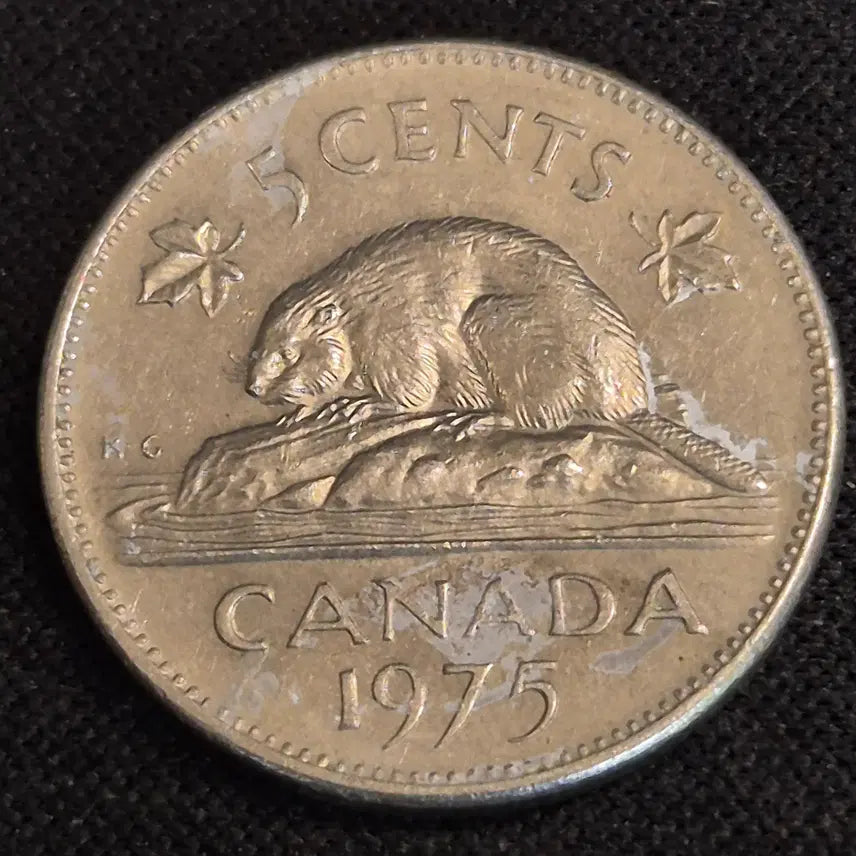 [BUNJANG] 1975 Canada 5 Cent Coin / 1975년 캐나다 5센트 동전 [EP. 2889]