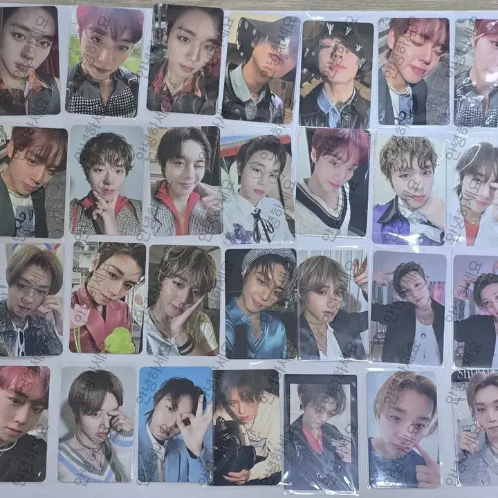 [BUNJANG] Park Ji Hoon Album Bundle Set Photocard / 박지훈 앨범 포카 일괄 양도