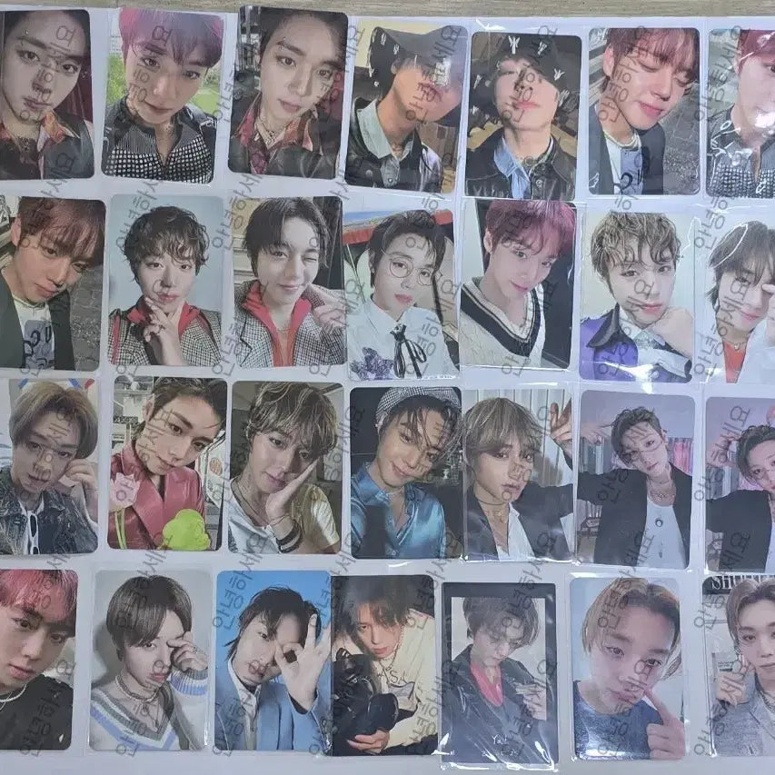 [BUNJANG] Park Ji Hoon Album Bundle Set Photocard / 박지훈 앨범 포카 일괄 양도