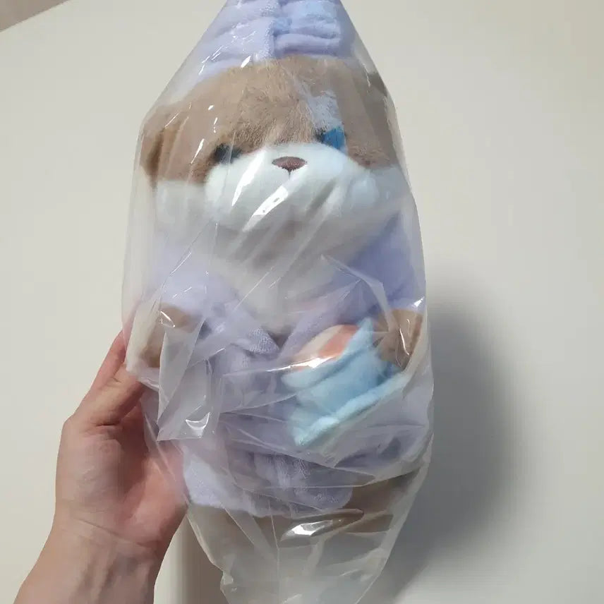 [BUNJANG] Wooso Wooso Jjang Morning Tea Time Doll / 우소우소짱 인형 모닝 티타임