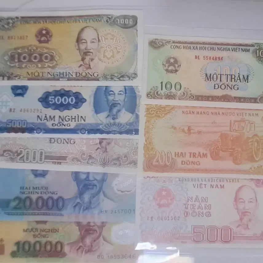 [BUNJANG] Vietnam Dong Banknotes (100 - 20,000) / 베트남 100~20000동