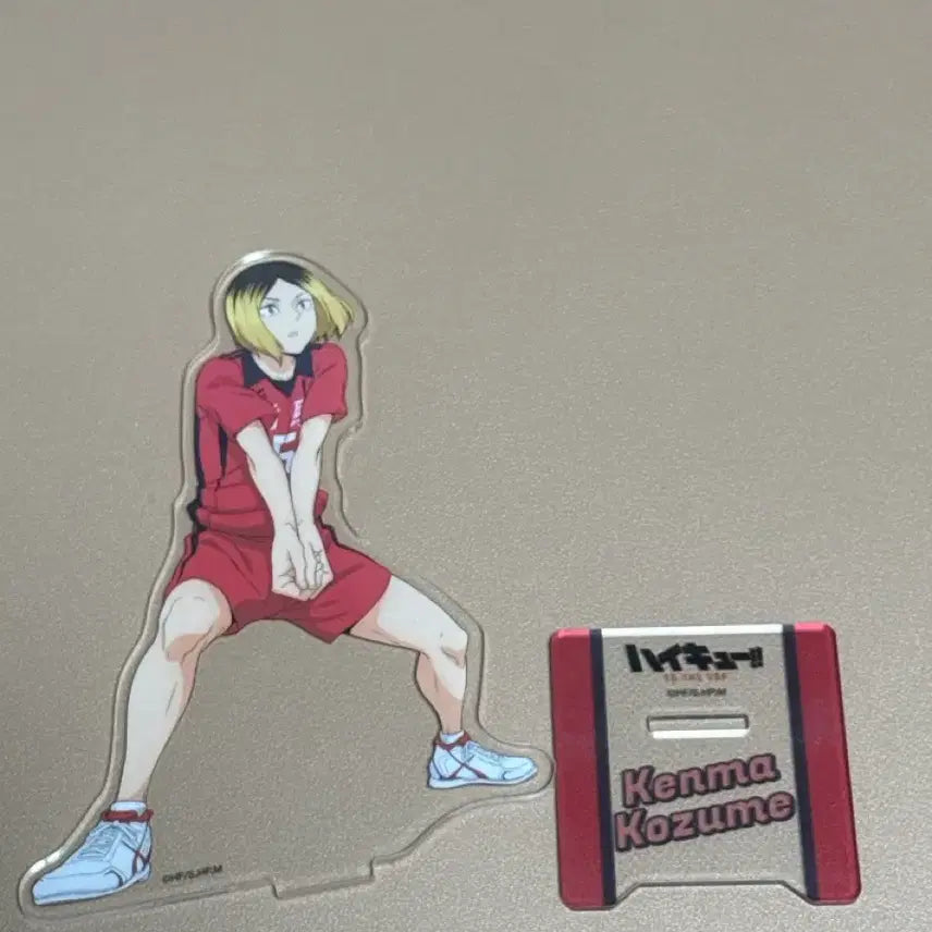 [BUNJANG] Haikyuu!! Kozume Kenma Tos Acrylic Stand / 급처) 하이큐 코즈메 켄마 토스 아크릴 스탠드