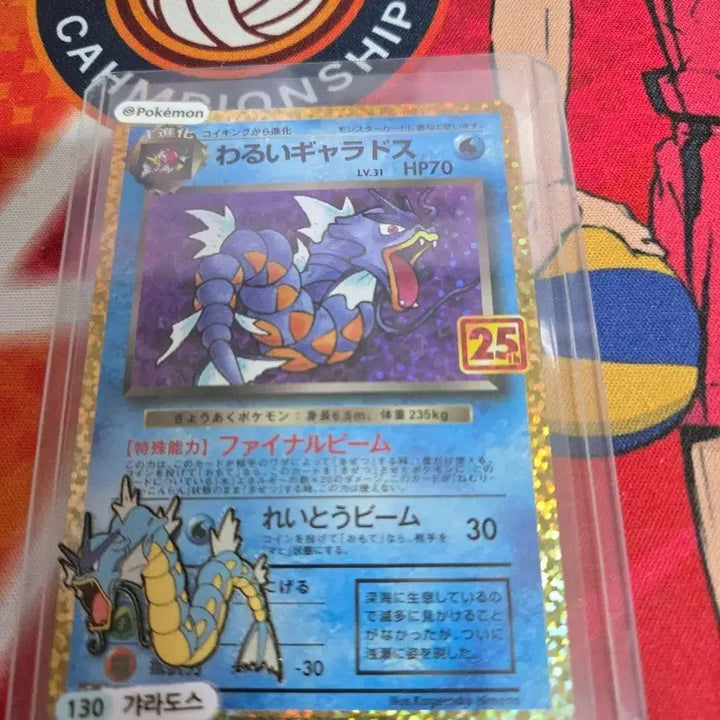 [BUNJANG] Bad Gyarados 25th Anniversary Photocard / 나쁜갸라도스 25주년일판