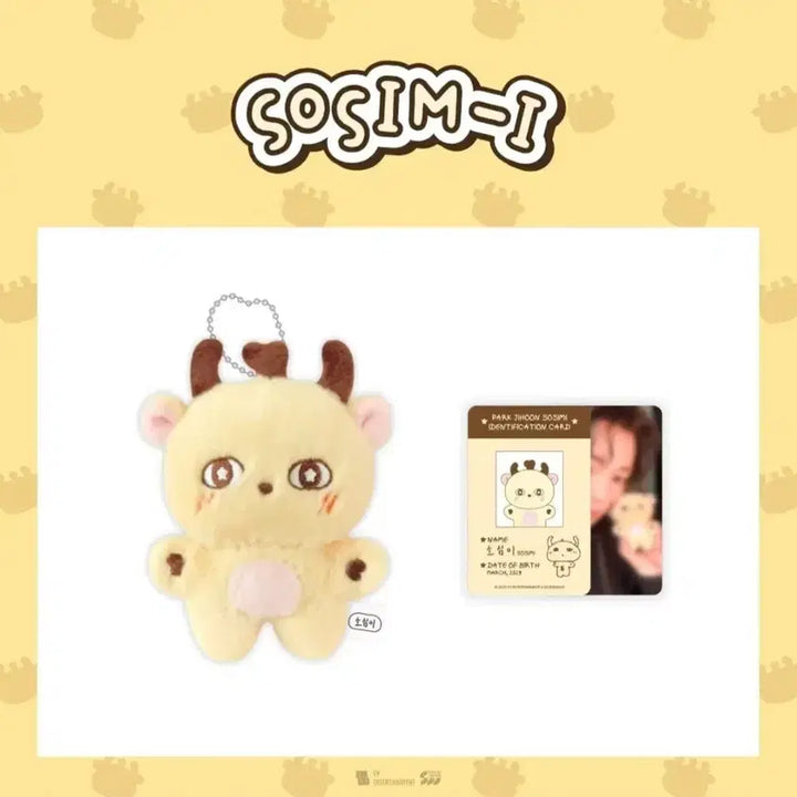 [BUNJANG] Park Jihoon Somimi Photocard / 박지훈 소심이