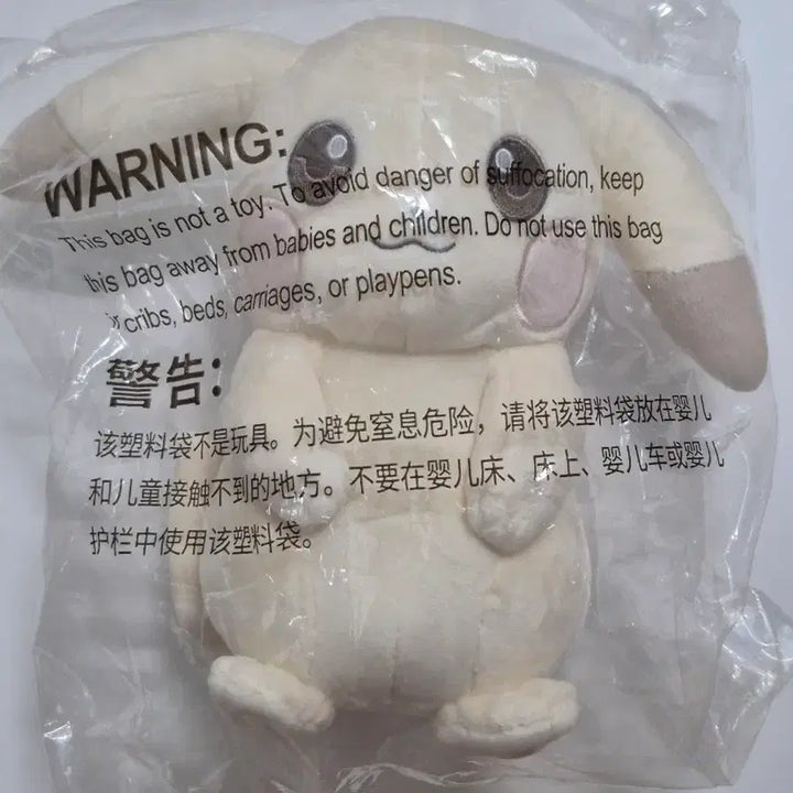 [BUNJANG] Pokemon Chonbaekchu Pocopia Joongposen Sealed / [현물] 포켓몬 창백카츄 포코피아 중포센 미개봉
