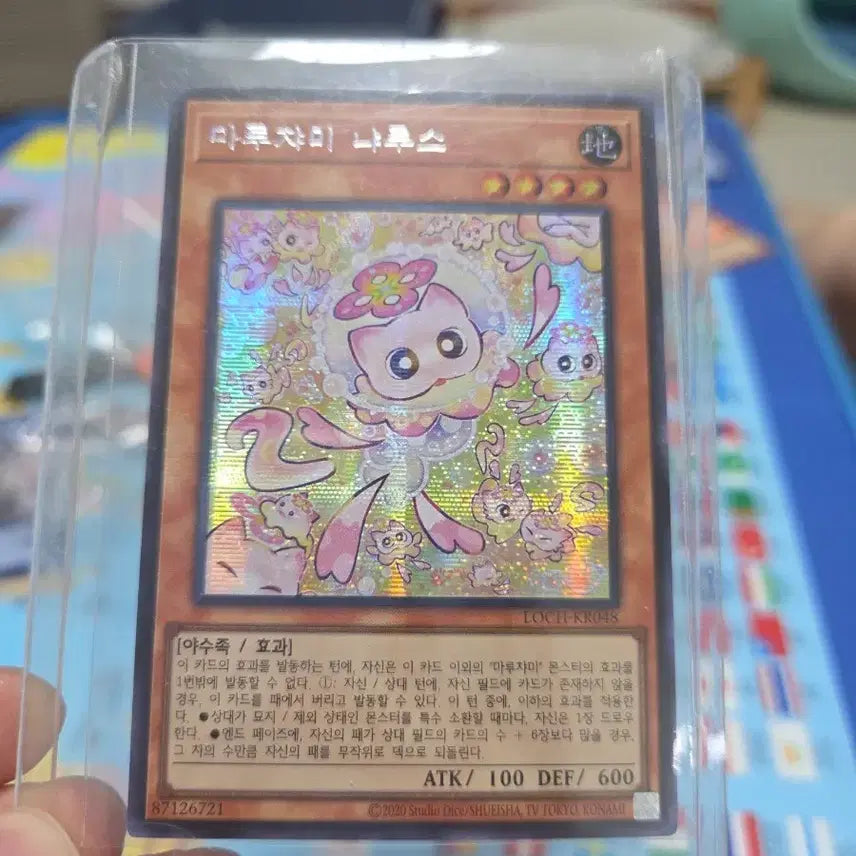 [BUNJANG] Yu-Gi-Oh! Maruchami Nyalus Card / 유희왕 마루챠미 냐루스