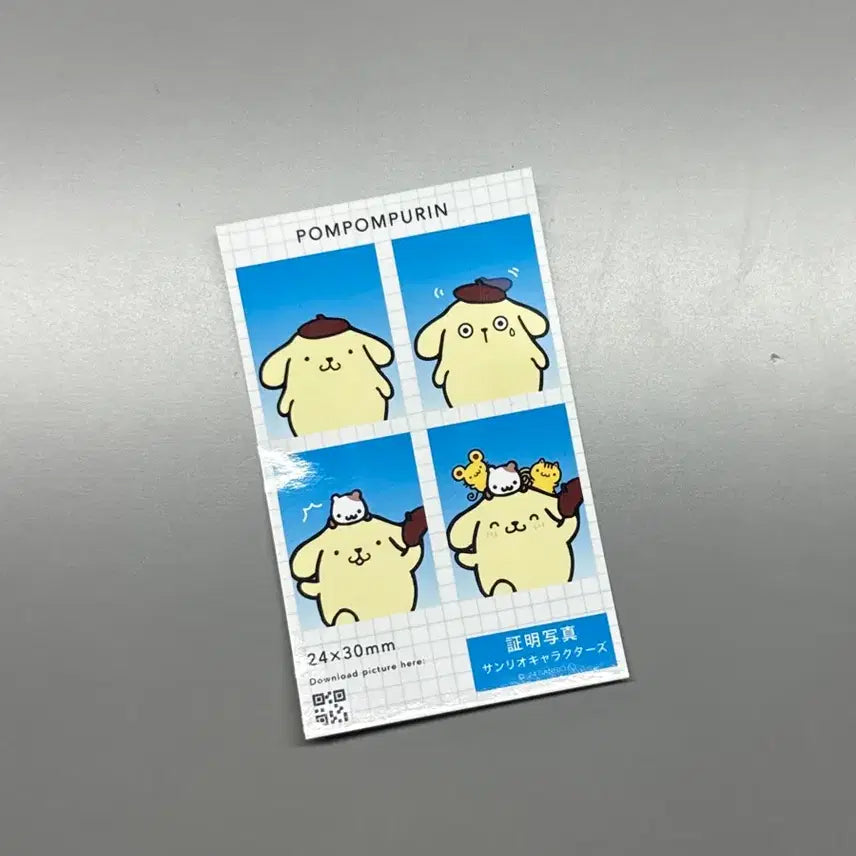 [BUNJANG] Sanrio Pompompurin ID Photo / 산리오 폼폼푸린 증명사진