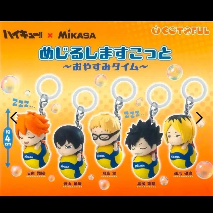 [BUNJANG] Haikyuu!! Mikasa Mezurushi Kuroo Sealed / [미개봉] 하이큐 미카사 메지루시 판매 (쿠로오)